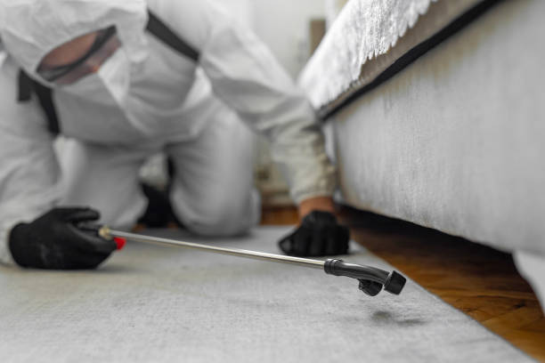 Professional Termite Control technician working in Garnett, KS