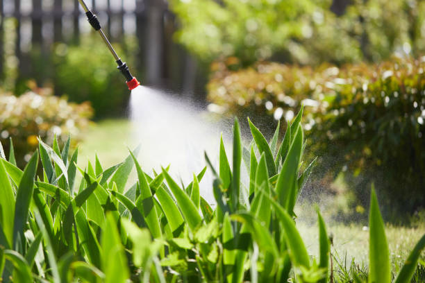 24/7 Emergency Termite Control experts in Garnett, KS
