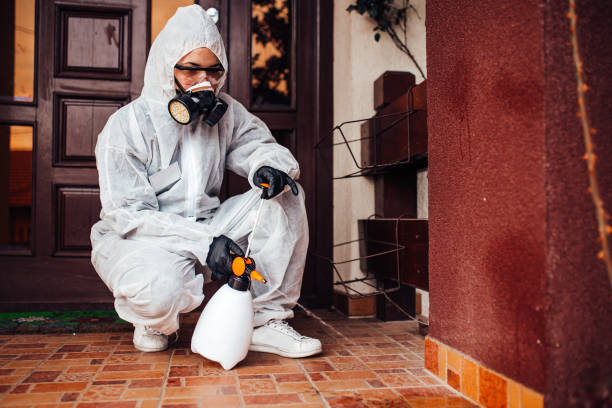 Reliable Termite Control contractor in Garnett, KS by Nex Pest Control