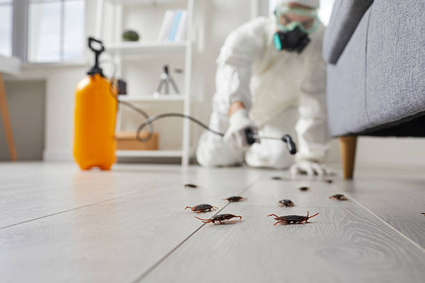 Affordable Termite Control solutions in Garnett, KS