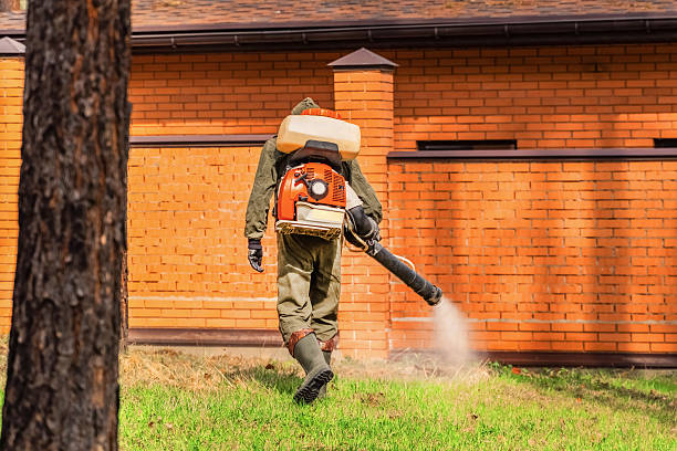 Top rated local Termite Control specialists in Garnett, KS